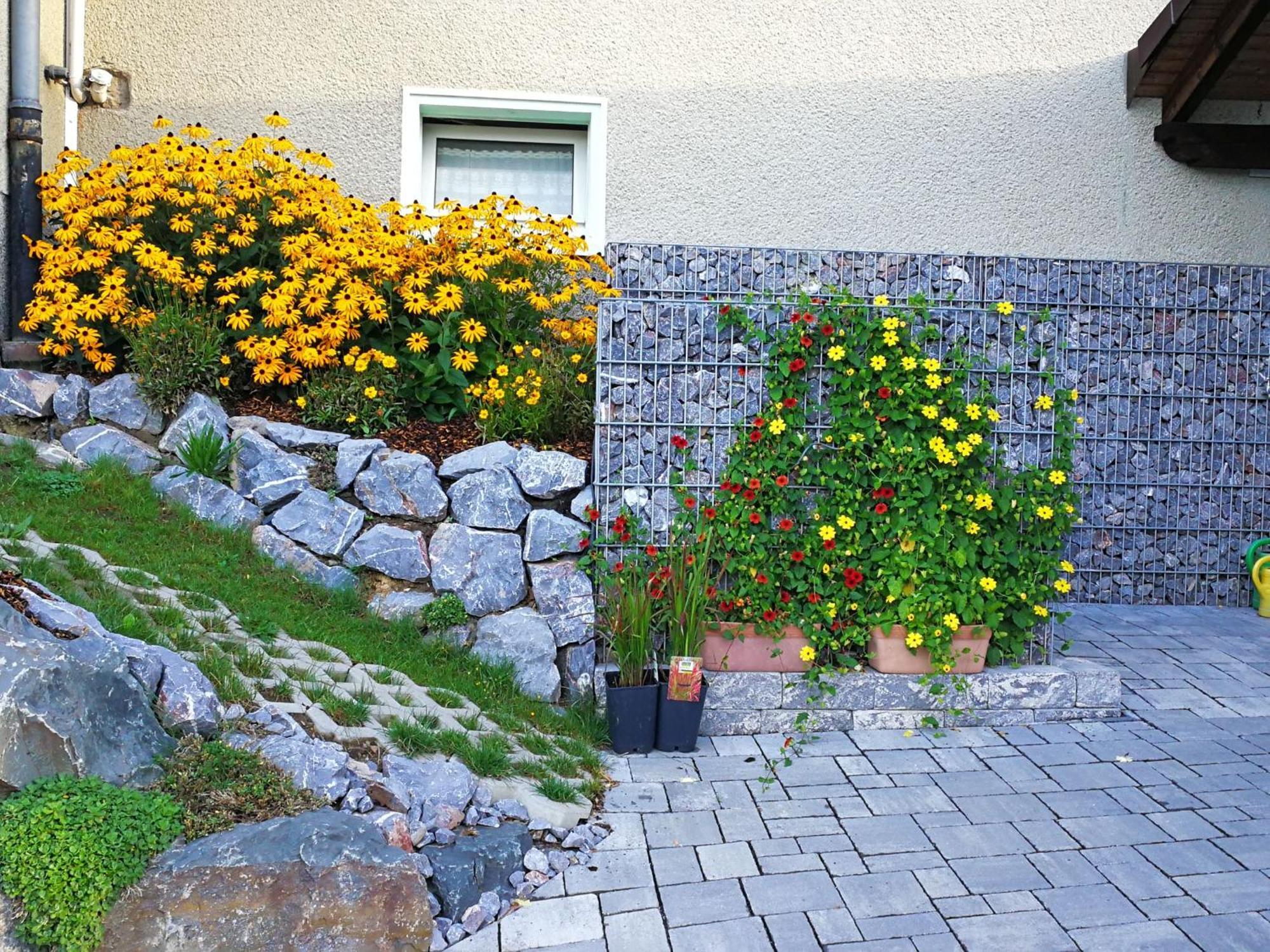 Am Silberg Apartment *